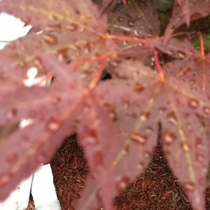 Meet your Posher, Alexandria